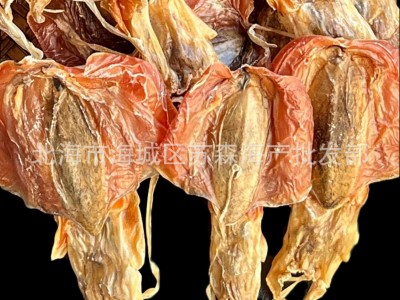 深海北海特产船晒血墨鱼干货淡干生晒煲汤墨斗鱼干乌贼500克图4