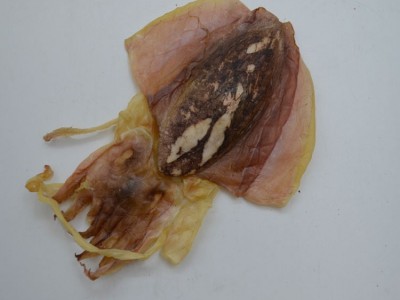 批发墨鱼干海鲜海产水产干货干墨鱼500g海味干批发图4