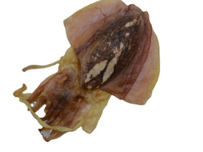 批发墨鱼干海鲜海产水产干货干墨鱼500g海味干批发图5