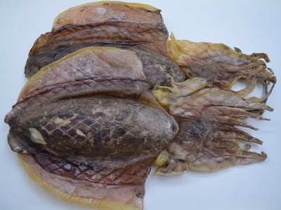 海味干批发墨鱼干海鲜海产水产干货干墨鱼500g图4