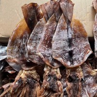 鱿鱼干批发阿根廷鱿鱼餐饮水发火锅食材烧烤海味海鲜干货高蛋白