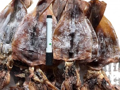 鱿鱼干批发阿根廷鱿鱼餐饮水发火锅食材烧烤海味海鲜干货高蛋白图5