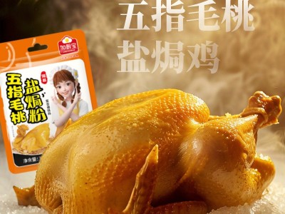 加厨宝五指毛桃盐焗鸡粉正宗家用盐焗粉手撕鸡客家梅州盐局调味料图3