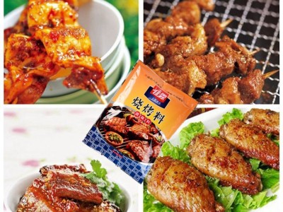 佳霖烧烤调料烤鱼肉蘸料奥尔良鸡翅腌料 羊肉串商用调味料400g*20图4