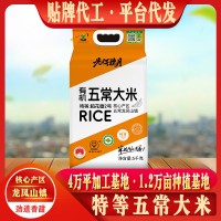 特等五常大米稻花香5斤5kg10斤一袋东北稻花长粒香大米厂家代发