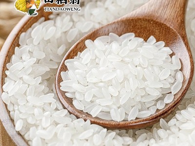 黑龙江五常大米20斤东北大米新米农家香米10kg现磨便宜批发包邮图3