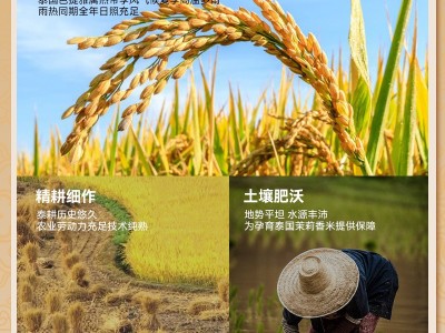 泰国茉莉香米新米10斤原装进口长粒香米象牙米丝苗米香米真空包装图2