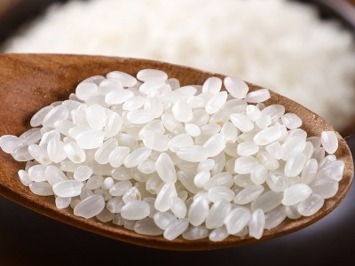 东北大米10斤黑龙江秋收新米圆粒珍珠米秋田小町香米厂直批可代发图2