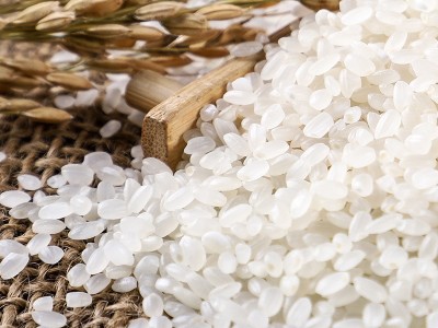 东北大米10斤黑龙江秋收新米圆粒珍珠米秋田小町香米厂直批可代发图4