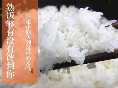2025年新米五常大米长粒米稻花香东北米2斤10斤大米厂家批发代发图2
