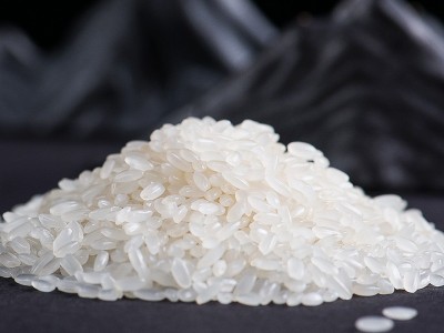 2025年新米五常大米长粒米稻花香东北米2斤10斤大米厂家批发代发图4