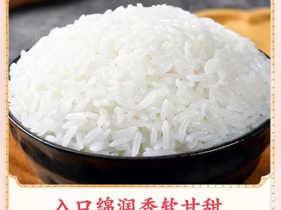 2025五常大米稻花香米10斤5斤大米5kg一袋东北大米新米厂家代发图4