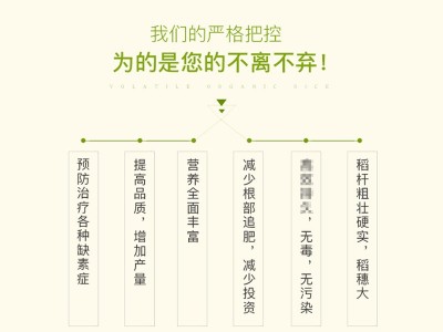 水稻增产叶面肥套餐壮苗秧抗倒伏返青灌浆穗饱芸苔素乐收 保凯液肥图4