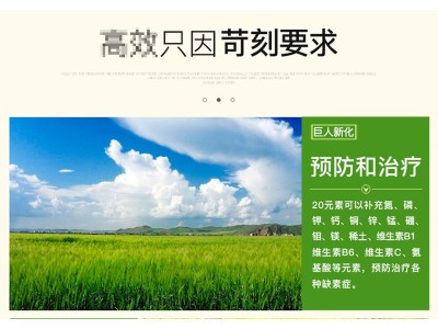 水稻增产叶面肥套餐壮苗秧抗倒伏返青灌浆穗饱芸苔素乐收 保凯液肥图3