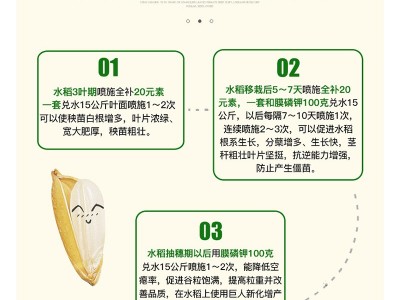 水稻增产叶面肥套餐壮苗秧抗倒伏返青灌浆穗饱芸苔素乐收 保凯液肥图2