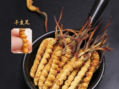 冬虫夏草批发西藏那曲产地直供冻干虫草新货头期一手货源找代理图3