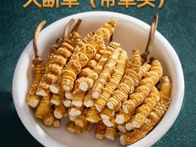 那曲冬虫夏草大断草纯肉节虫草断草自用超实惠一手货源批发天然图2