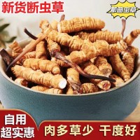 那曲冬虫夏草大断草纯肉节虫草断草自用超实惠一手货源批发天然