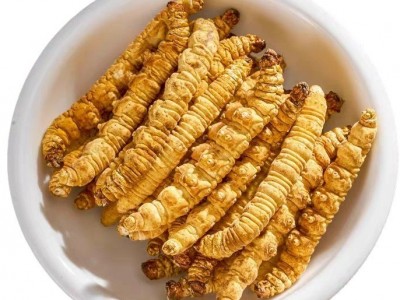 那曲冬虫夏草大断草纯肉节虫草断草自用超实惠一手货源批发天然图5