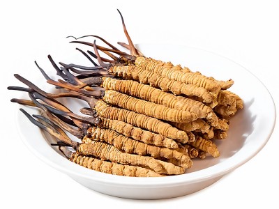 那曲冬虫夏草干货足干虫草全规格散装批发无断草产地直供滋补品图5