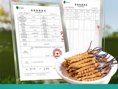 那曲冬虫夏草干货足干虫草全规格散装批发无断草产地直供滋补品图4