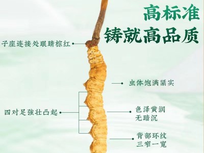 那曲冬虫夏草干货足干虫草全规格散装批发无断草产地直供滋补品图2