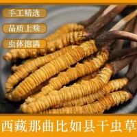 那曲冬虫夏草干货足干虫草全规格散装批发无断草产地直供滋补品