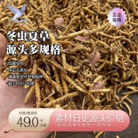 燕大哥品牌溯源冬虫夏草 西藏那曲虫草冻干虫草认证 招商加盟代发