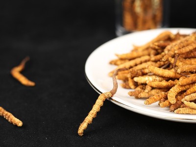 燕大哥品牌溯源冬虫夏草 西藏那曲虫草冻干虫草认证 招商加盟代发图5