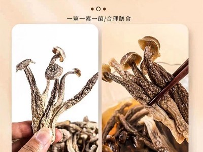 鹿茸菇干货批发2025农家新货500g袋装商用批发新鲜煲汤炖煮食材图5