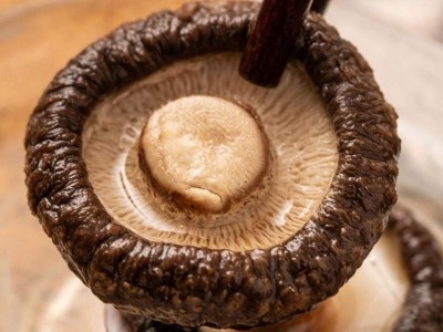 【无干燥剂】香菇干袋装农家干香菇当季蔬菜蘑菇日晒新鲜肉厚无根图3