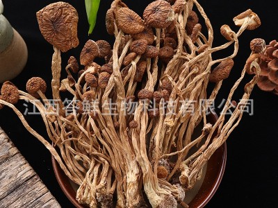 500g 现货批发农家茶树菇干货 散装包装新鲜茶薪菇煲汤图4