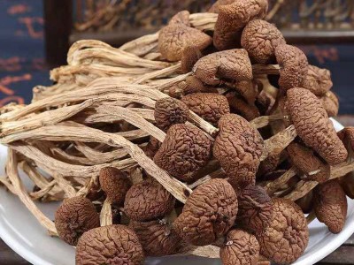 江西广昌5号茶树菇干货批发农家特产新鲜菌菇散装菌菇类煲汤材料图3