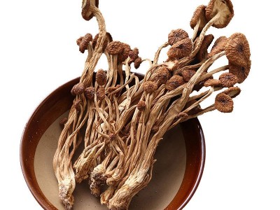 江西广昌5号茶树菇干货批发农家特产新鲜菌菇散装菌菇类煲汤材料图5