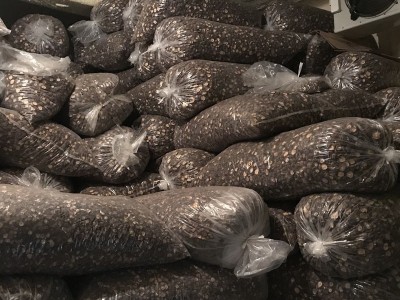 福建香菇干货批发剪脚根短肉厚古田香菇批发干香菇厚菇冬菇500克图3