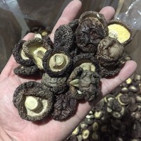 香菇干货批发散装 东北黑面香菇水菇冬菇古田产地直销 干香菇
