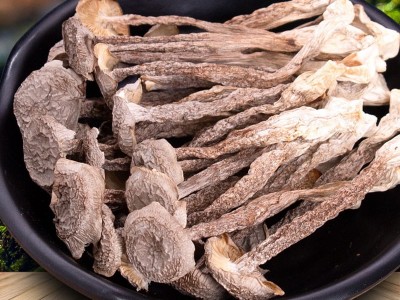 鹿茸菇食用菌干货批发古田厂家 整箱整件12斤现货 鹿茸菌500g图2