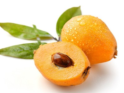 现货四川米易枇杷应季水果采摘高山琵琶果一件代发特级树上熟甜润图5