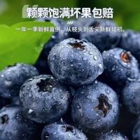 云南蓝莓新鲜产地大蓝莓云南怡颗莓宝宝L25蓝莓鲜果顺丰京东