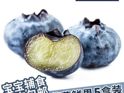 云南蓝莓新鲜产地大蓝莓云南怡颗莓宝宝L25蓝莓鲜果顺丰京东图2