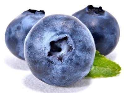 云南蓝莓新鲜产地大蓝莓云南怡颗莓宝宝L25蓝莓鲜果顺丰京东图5