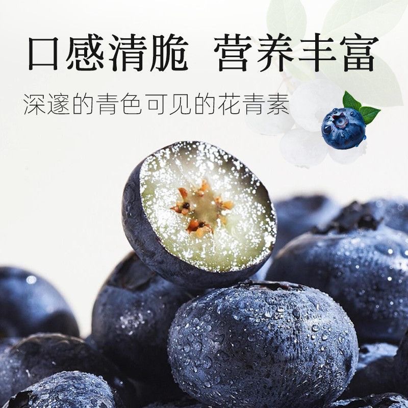 O1CN01bRdu8d1L70ar7EL1t_!!2200797221251-0-cib