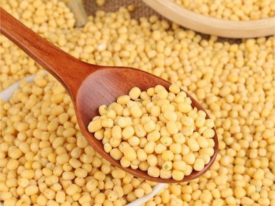 批发供应脱皮绿豆 新货绿豆糕食品原料 农家去皮食用绿豆仁49.5斤图2