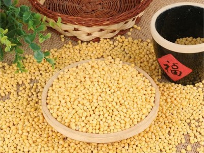 批发供应脱皮绿豆 新货绿豆糕食品原料 农家去皮食用绿豆仁49.5斤图3