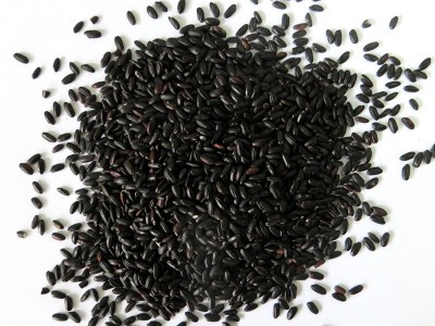 厂家批发黑香米 五谷杂粮粗粮黑米 内蒙古农家自产黑香米 黑大米图4