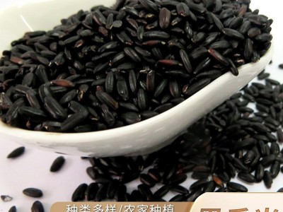 厂家批发黑香米 五谷杂粮粗粮黑米 内蒙古农家自产黑香米 黑大米图2