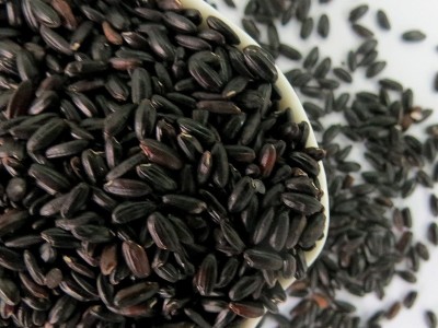 厂家批发黑香米 五谷杂粮粗粮黑米 内蒙古农家自产黑香米 黑大米图3