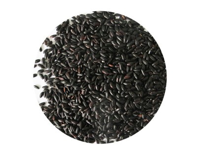 厂家批发黑香米 五谷杂粮粗粮黑米 内蒙古农家自产黑香米 黑大米图5