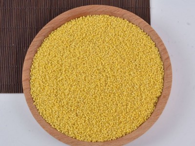 赤峰新小米产品 五谷杂粮批发月子小米 大量现货批发糯香小米图4