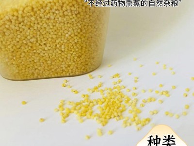 赤峰新小米产品 五谷杂粮批发月子小米 大量现货批发糯香小米图2